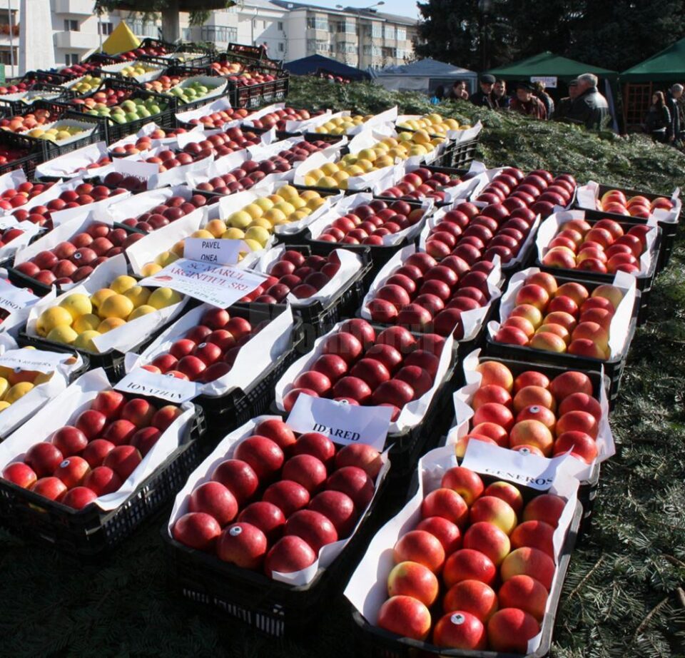Târgul Mărului din Fălticeni va avea loc la finalul acestei săptămâni