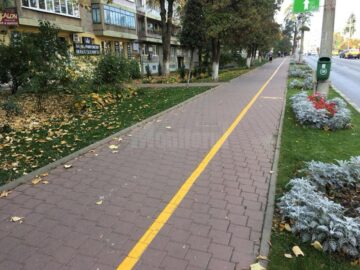 Campania de scoatere a gardului viu din Suceava, reluată în forță