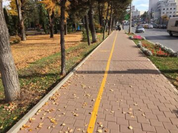 Campania de scoatere a gardului viu din Suceava, reluată în forță