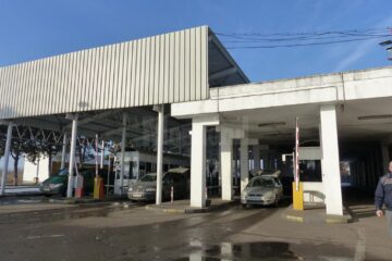 Controale în Vama Siret pentru a preveni pătrunderea pestei porcine africane