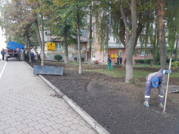 Campania de scoatere a gardului viu din Suceava, reluată în forță