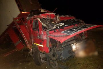 accident animale tihuta1