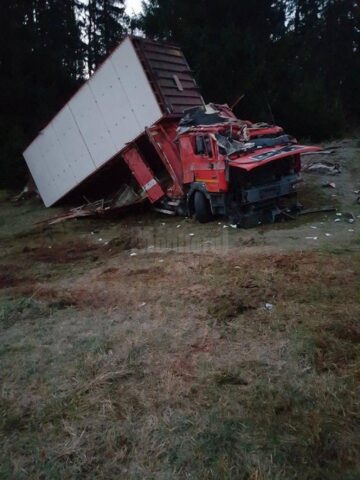 accident animale tihuta6