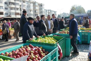 Discuții între specialiști și pomicultori