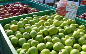 Târgul Mărului a promovat produsele pomicole și agricole din zona Fălticeni
