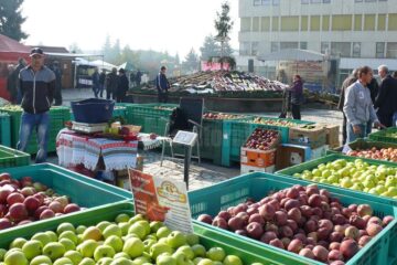 Producătorii au expus peste 30 de soiuri de mere, din care 14 au fost oferite spre vânzare