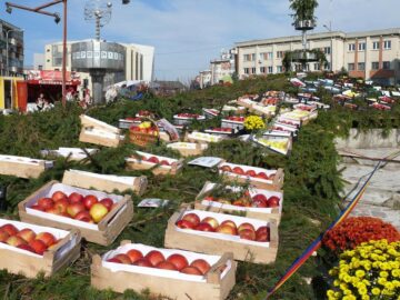 Târgul Mărului a promovat produsele pomicole și agricole din zona Fălticeni