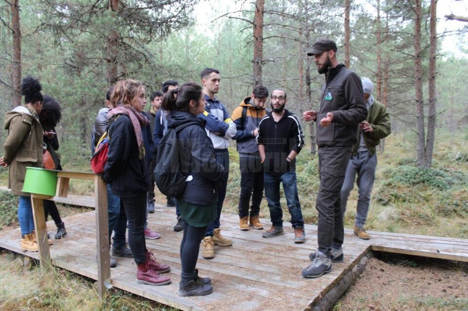 Aplicație practică pentru studenții de peste hotare de la USV