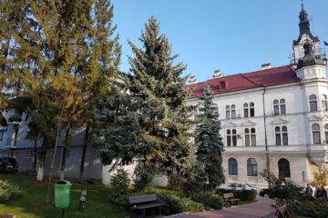 Concurs cu premii de 10.000 de lei pentru realizarea unui monument dedicat Marii Uniri