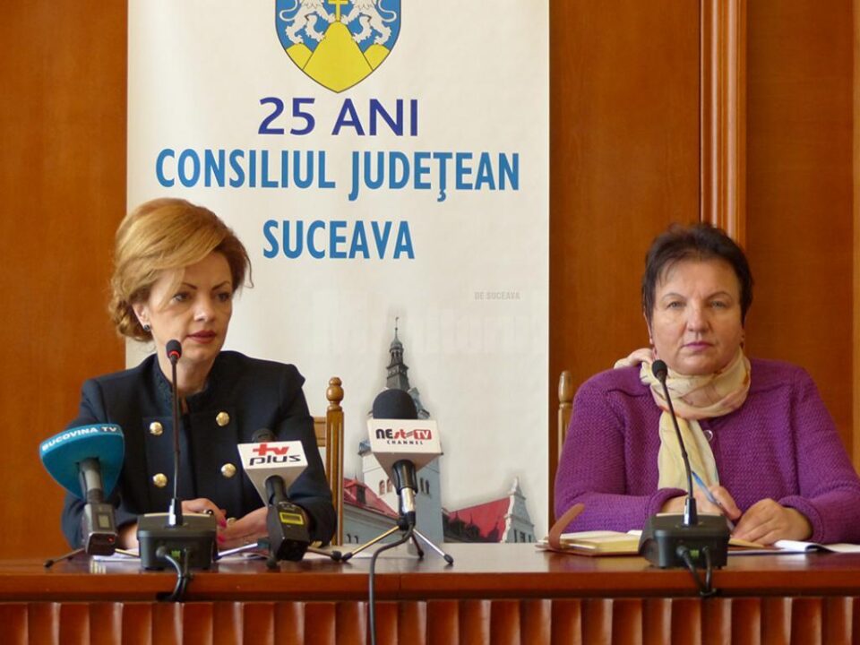 Colegiul prefectural a adoptat o hotărâre pentru verificarea stării parapetelor de pe drumurile din județ