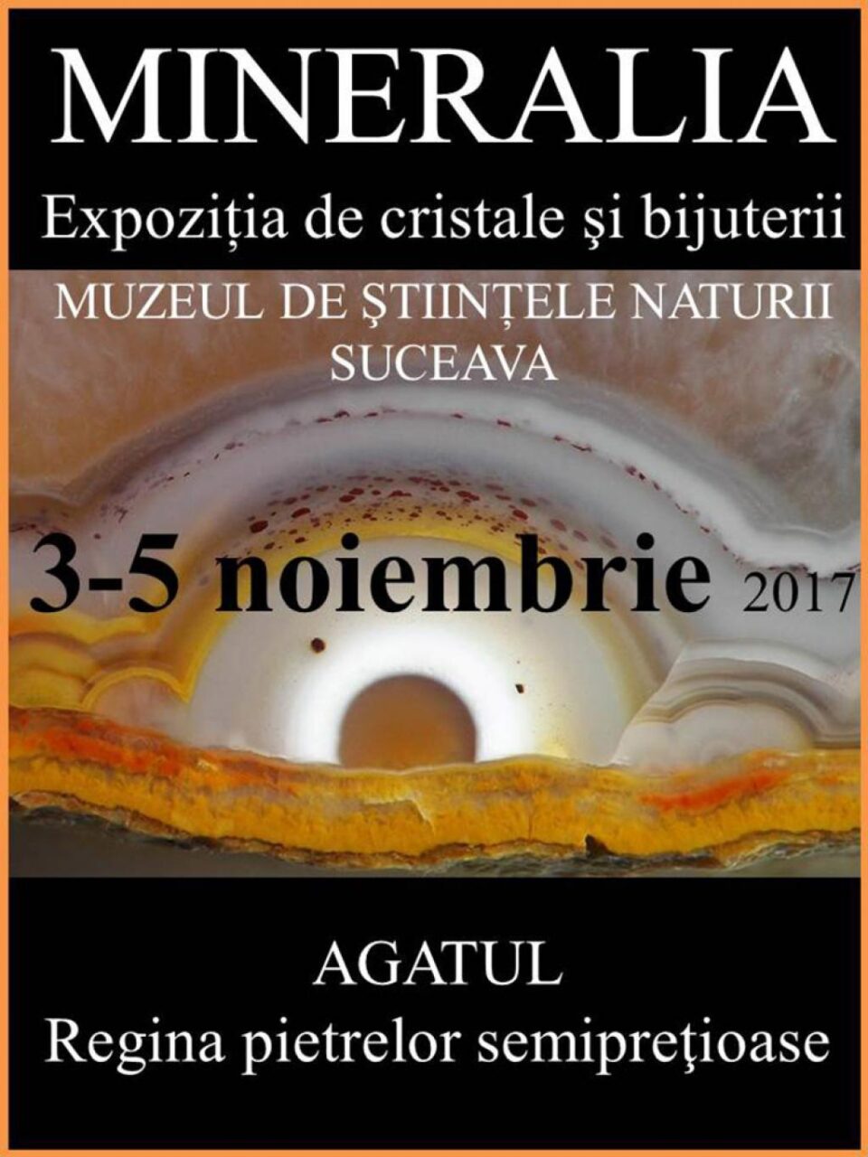 Expoziția de cristale și bijuterii Mineralia „Agatul – Regina pietrelor semiprețioase”, la Muzeul de Științele Naturii