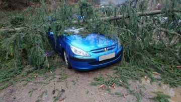 Un copac s-a prăbușit peste un autoturism la Iacobeni