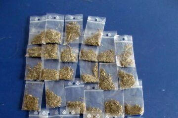 Etnobotanicele domină piața drogurilor, pentru că este vorba de substanțe relativ ușor de procurat și relativ ieftine