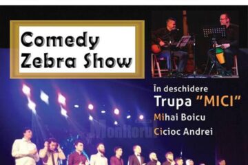 Comedy Zebra Show
