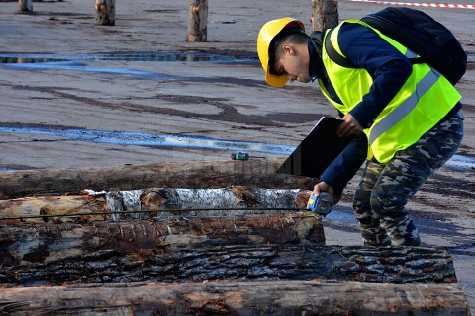 Șase studenți suceveni vor beneficia de burse Holzindustrie Schweighofer, în anul universitar 2017-2018