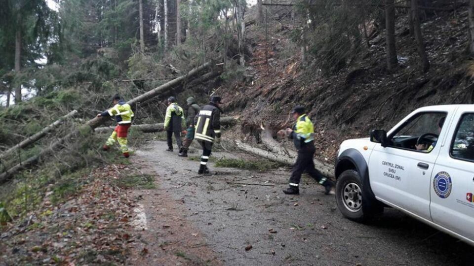 Intervenția pe TransRarău a fost periculoasă, din cauza arborilor doborâți de vânt