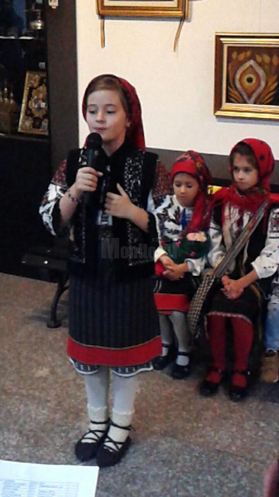 Concursul a fost organizat pe mai multe secțiuni: muzică vocală și instrumentală, recitare și costum autentic românesc