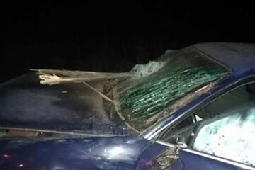 În urma impactului, o scândură din gard a pătruns prin parbriz, curmând viața celui aflat pe scaunul din dreapta