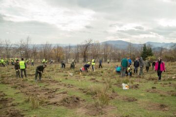 21.200 de puieți de arbori au fost plantați pe o suprafață de 4,7 ha teren degradat, în prima acțiune din „Pădurea de mâine”