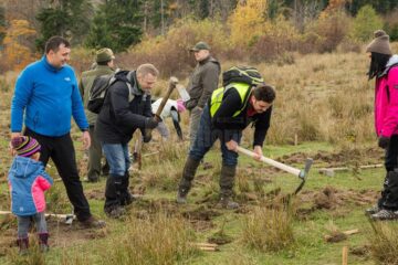 Startul proiectului „Pădurea de mâine”, dat prin plantarea a 21.000 de puieți de arbori