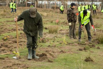 Startul proiectului „Pădurea de mâine”, dat prin plantarea a 21.000 de puieți de arbori