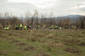 Startul proiectului „Pădurea de mâine”, dat prin plantarea a 21.000 de puieți de arbori