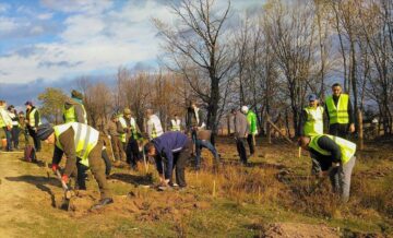 Startul proiectului „Pădurea de mâine”, dat prin plantarea a 21.000 de puieți de arbori