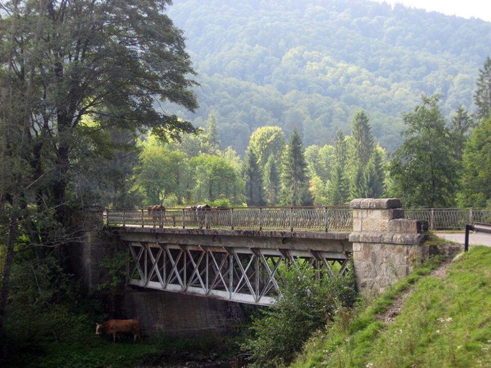 Unul din cele trei poduri metalice care rezista de mai bine de o suta de ani 1