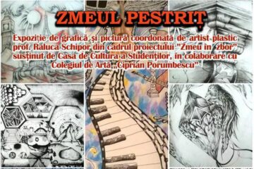 Zmeu în zbor – Zmeul pestriț, la Universitatea din Suceava