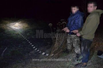 Contrabandiști prinși de polițiștii de frontieră