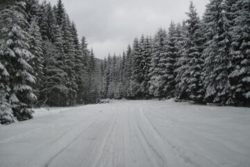 DN 17D, între localitățile Valea Mare (Bistrița-Năsăud) și Cârlibaba (Suceava), închis circulației rutiere pe timpul iernii DN 17D, între localitățile Valea Mare (Bistrița-Năsăud) și Cârlibaba (Suceava), închis circulației rutiere pe timpul iernii