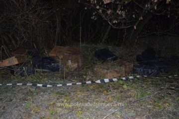 Doi contrabandiști ucraineni și țigări de peste 23.000 de euro, reținuți la frontiera verde