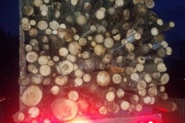 Material lemnos confiscat