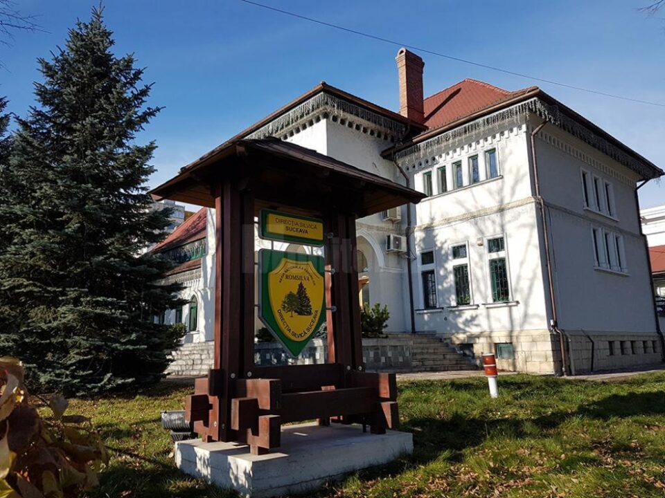 Direcția Silvică Suceava
