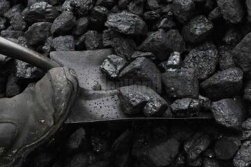 „Fă-ți vara sanie și iarna căruță”