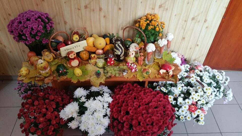 „Crizanteme, culoare și poezie”, la școala din Iaslovăț
