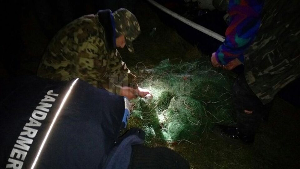 Plasele au fost distruse, iar peștii redați în mediul lor natural