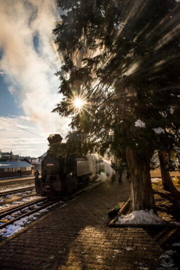 Iubitorii Mocăniței și cei implicați în conservarea căilor ferate turistice din România, la prima întâlnire în Moldovița