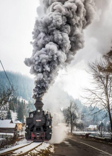 Iubitorii Mocăniței și cei implicați în conservarea căilor ferate turistice din România, la prima întâlnire în Moldovița