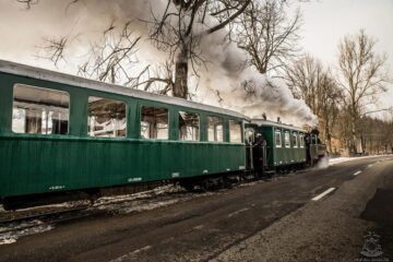 Iubitorii Mocăniței și cei implicați în conservarea căilor ferate turistice din România, la prima întâlnire în Moldovița