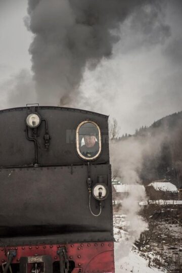 Iubitorii Mocăniței și cei implicați în conservarea căilor ferate turistice din România, la prima întâlnire în Moldovița