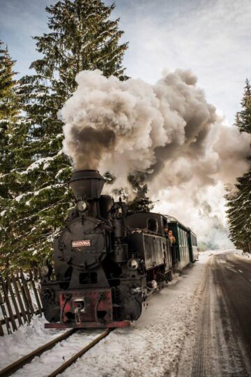 Iubitorii Mocăniței și cei implicați în conservarea căilor ferate turistice din România, la prima întâlnire în Moldovița