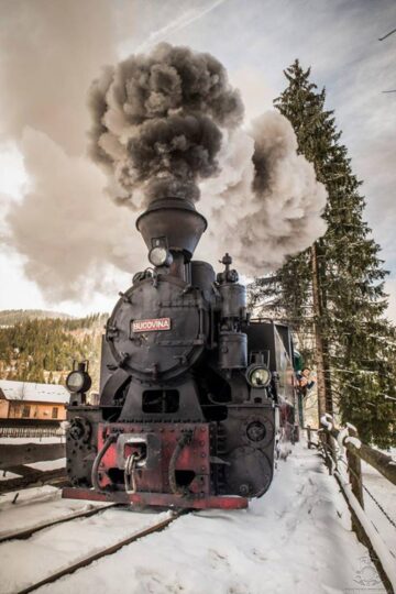 Iubitorii Mocăniței și cei implicați în conservarea căilor ferate turistice din România, la prima întâlnire în Moldovița