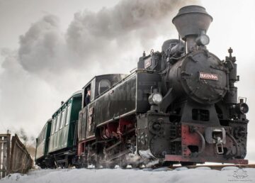 Iubitorii Mocăniței și cei implicați în conservarea căilor ferate turistice din România, la prima întâlnire în Moldovița