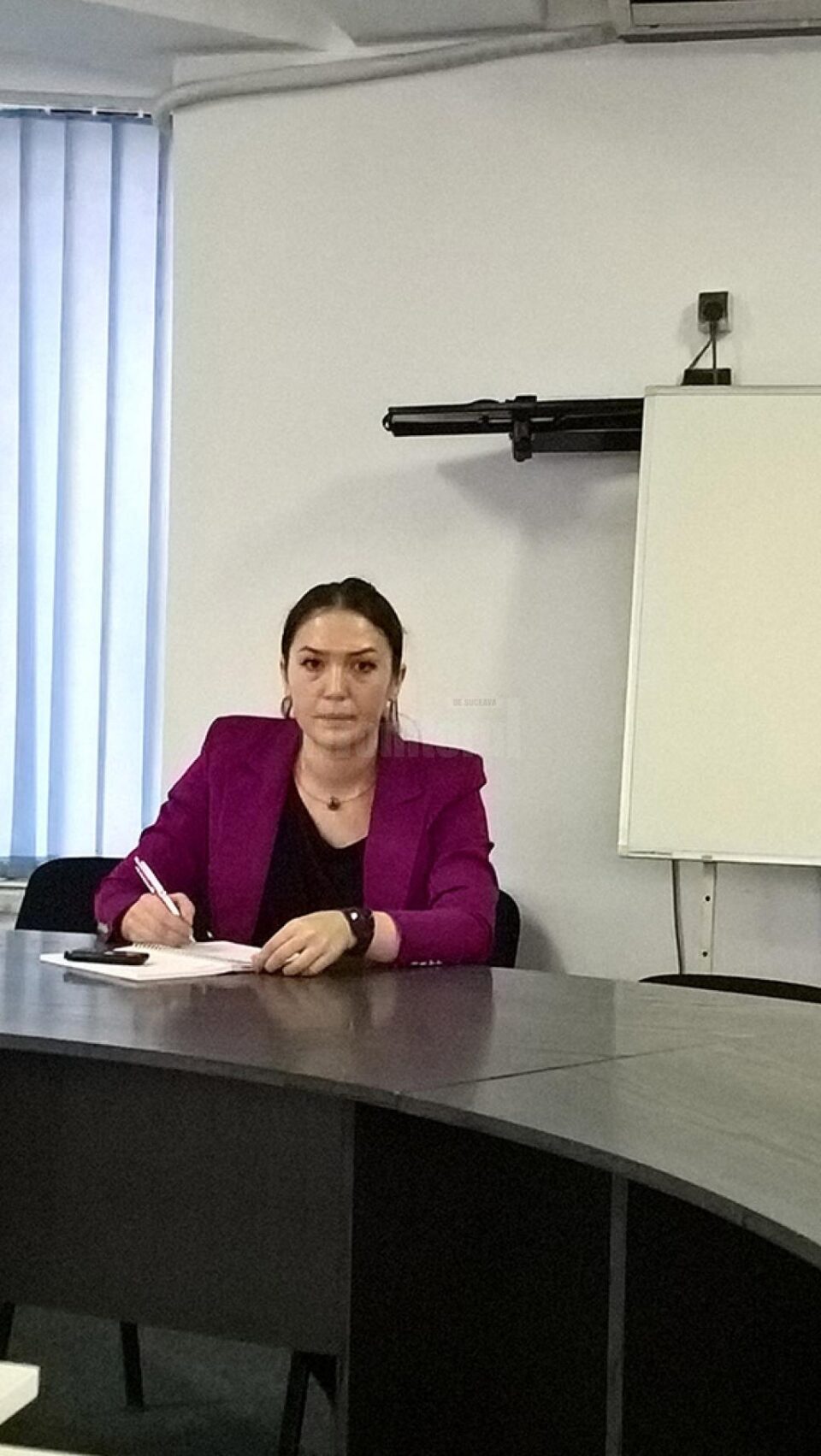 Bianca Bighiu, purtător de cuvânt DSP