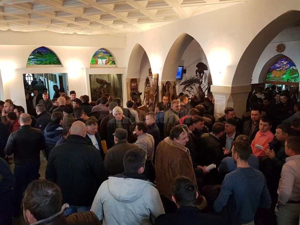 Peste 400 de agenți economici s-au înscris la licitația de masă lemnoasă organizată la sediul Direcției Silvice Suceava