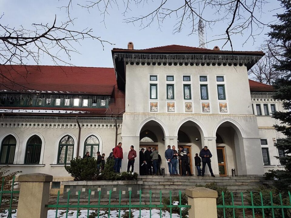 Lemnul din pădurile județului, o resursă tot mai scumpă