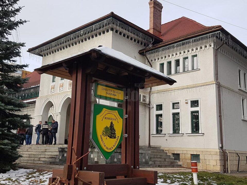 Lemnul din pădurile județului, o resursă tot mai scumpă