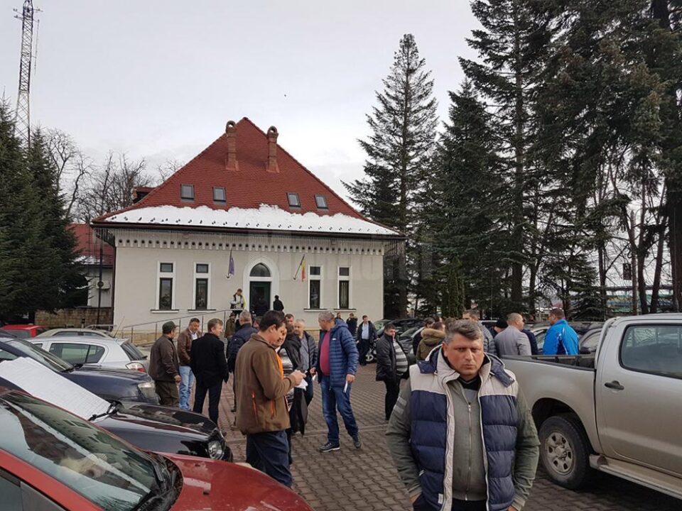 Lemnul din pădurile județului, o resursă tot mai scumpă