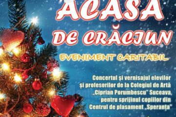 Concert al Colegiului de Arta